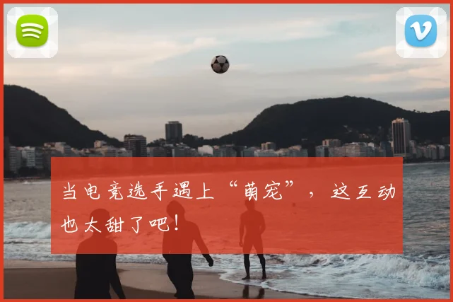 当电竞选手遇上“萌宠”，这互动也太甜了吧！