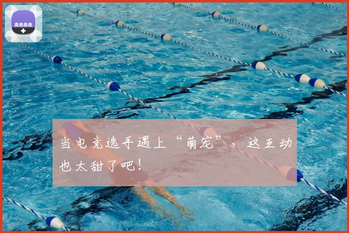 当电竞选手遇上“萌宠”,这互动也太甜了吧!
