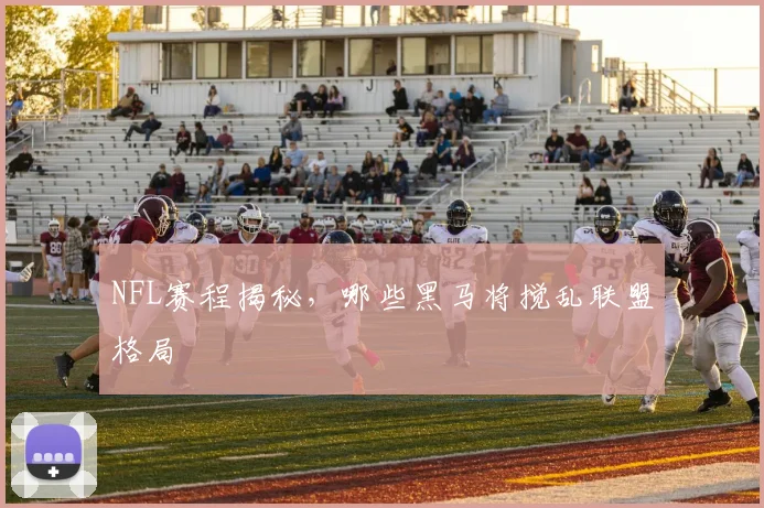 NFL赛程揭秘,哪些黑马将搅乱联盟格局